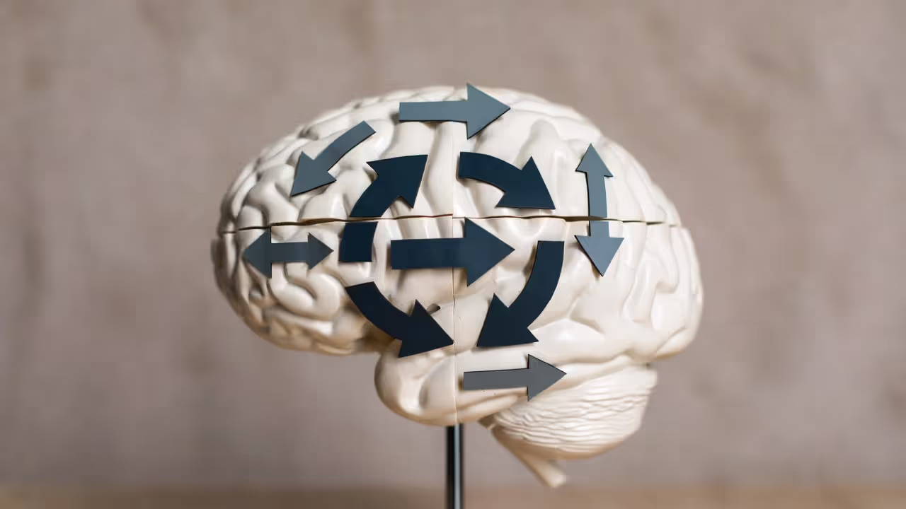 A cycle of recurring thoughts in the brain